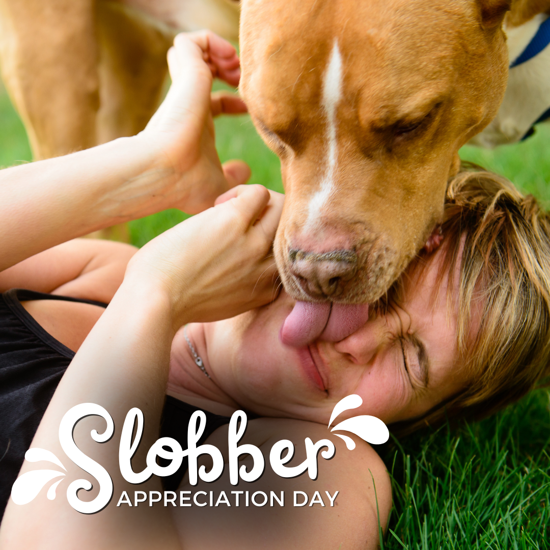 16th - Slobber Appreciation Day