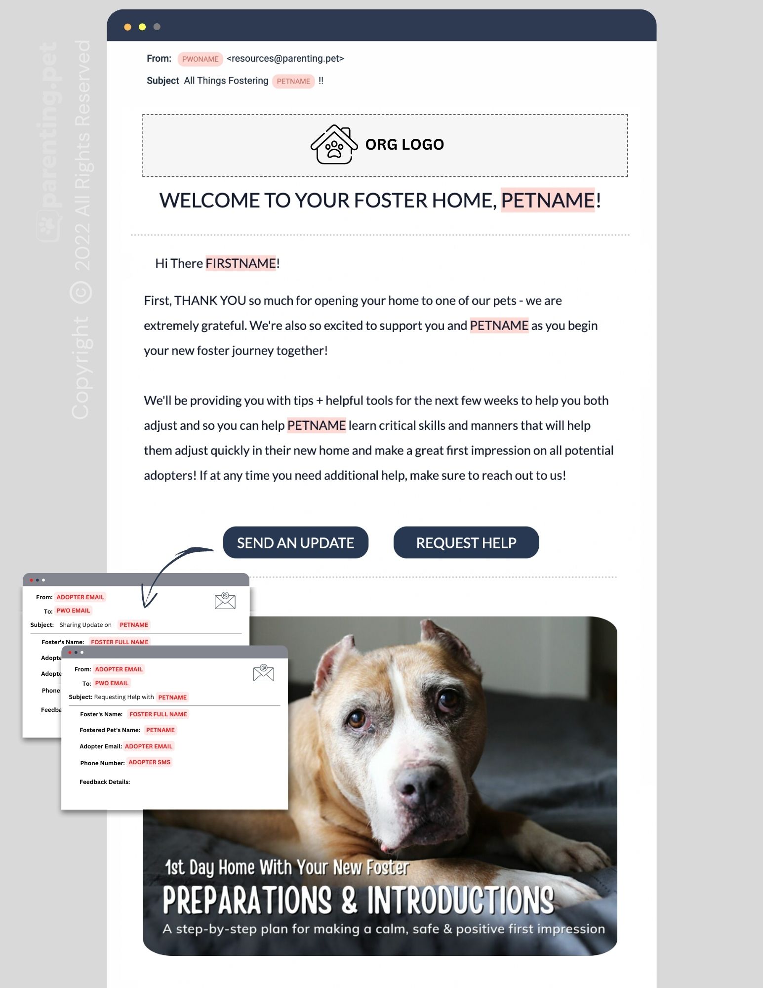 Dog Foster Email Series